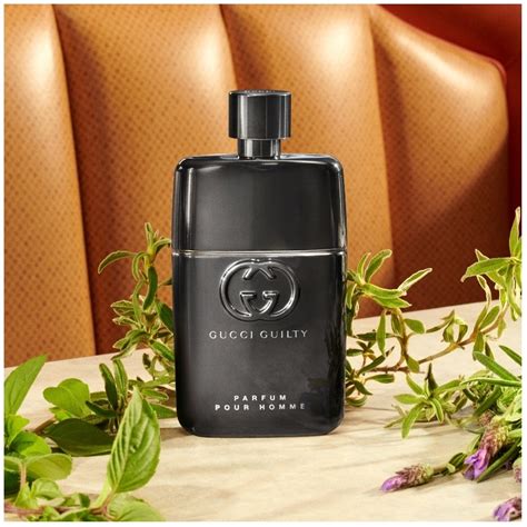 Gucci guilty pour homme fragrantica